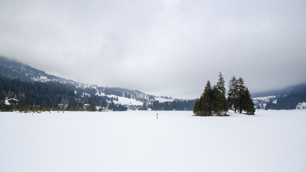 Photo of Others in Lenz