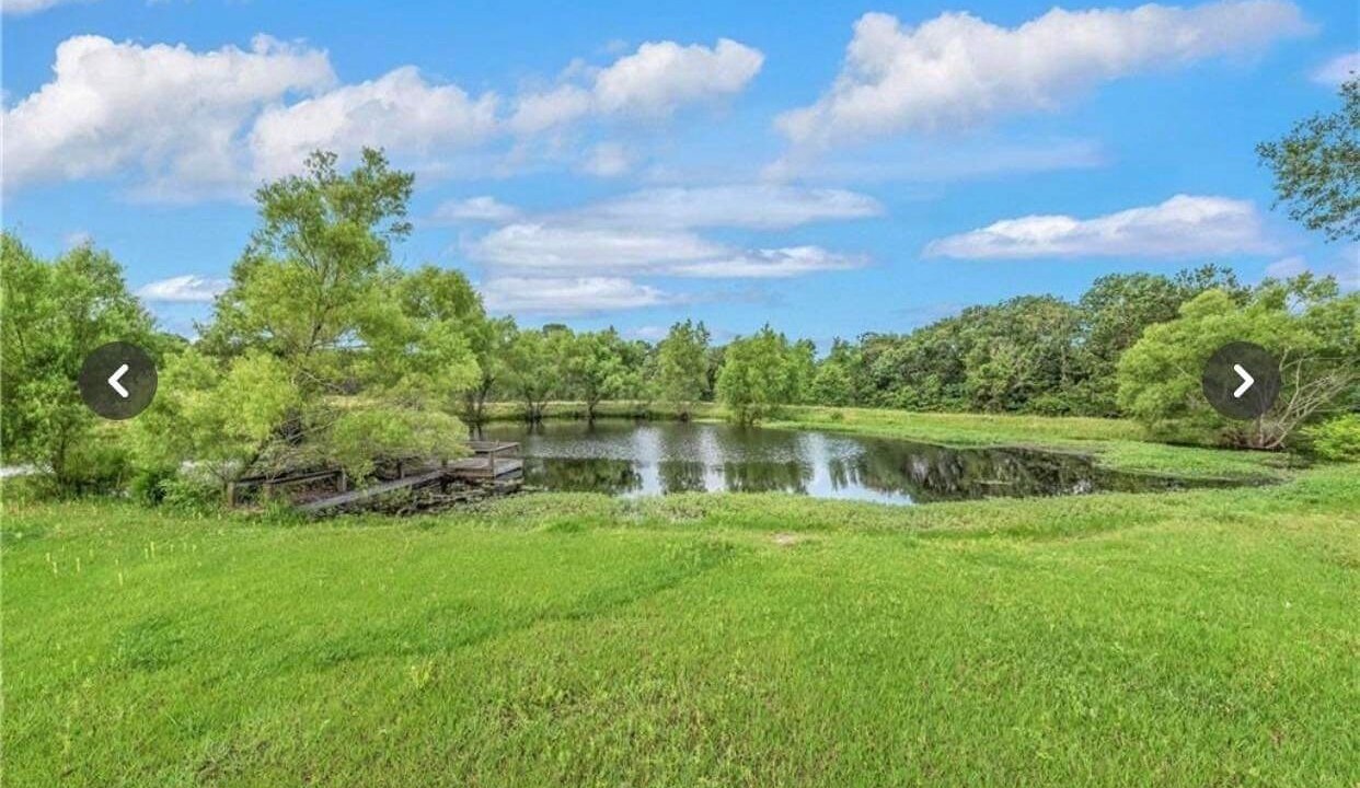 Photo of Outdoor in Navasota