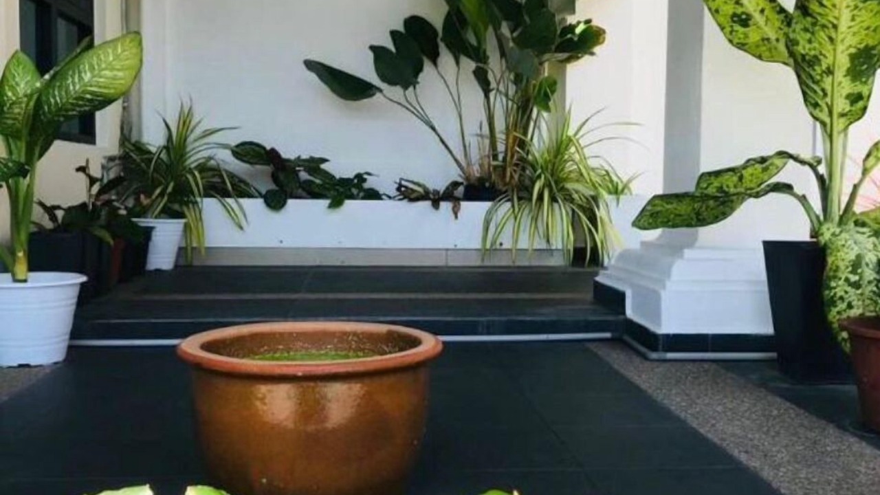 Photo of Outdoor in Jambu