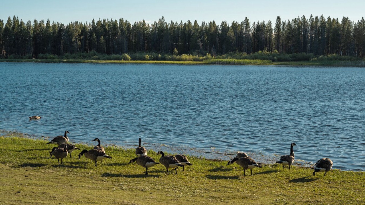 Photo of Outdoor in Crescent