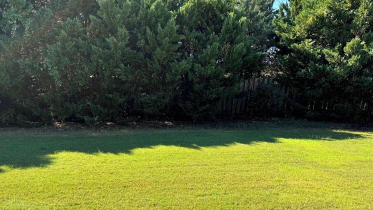 Photo of Outdoor in Gunter Afs
