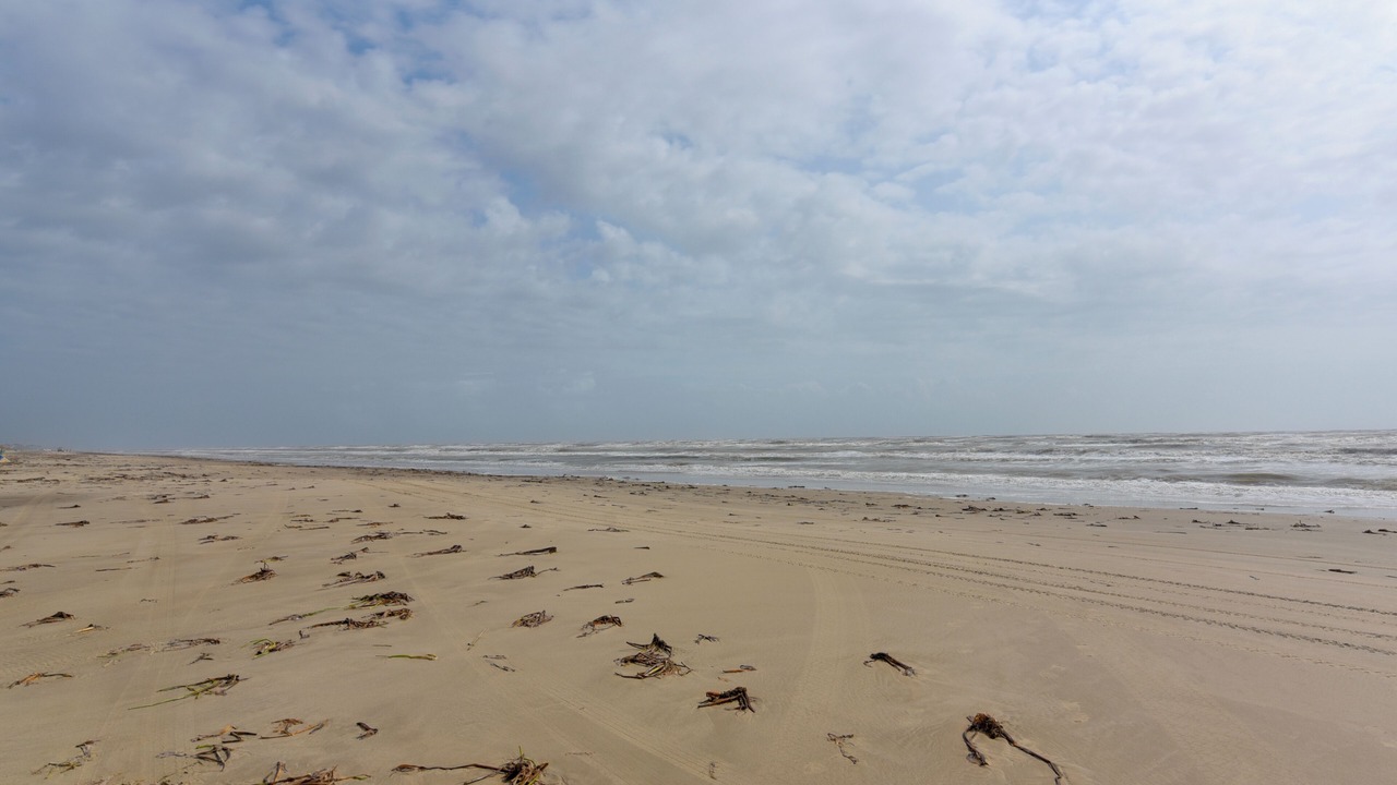 Photo of Others in Crystal Beach
