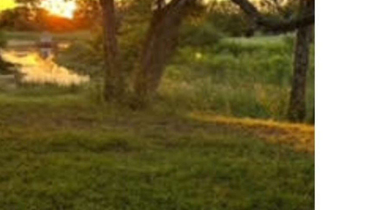 Photo of Others in Smith County