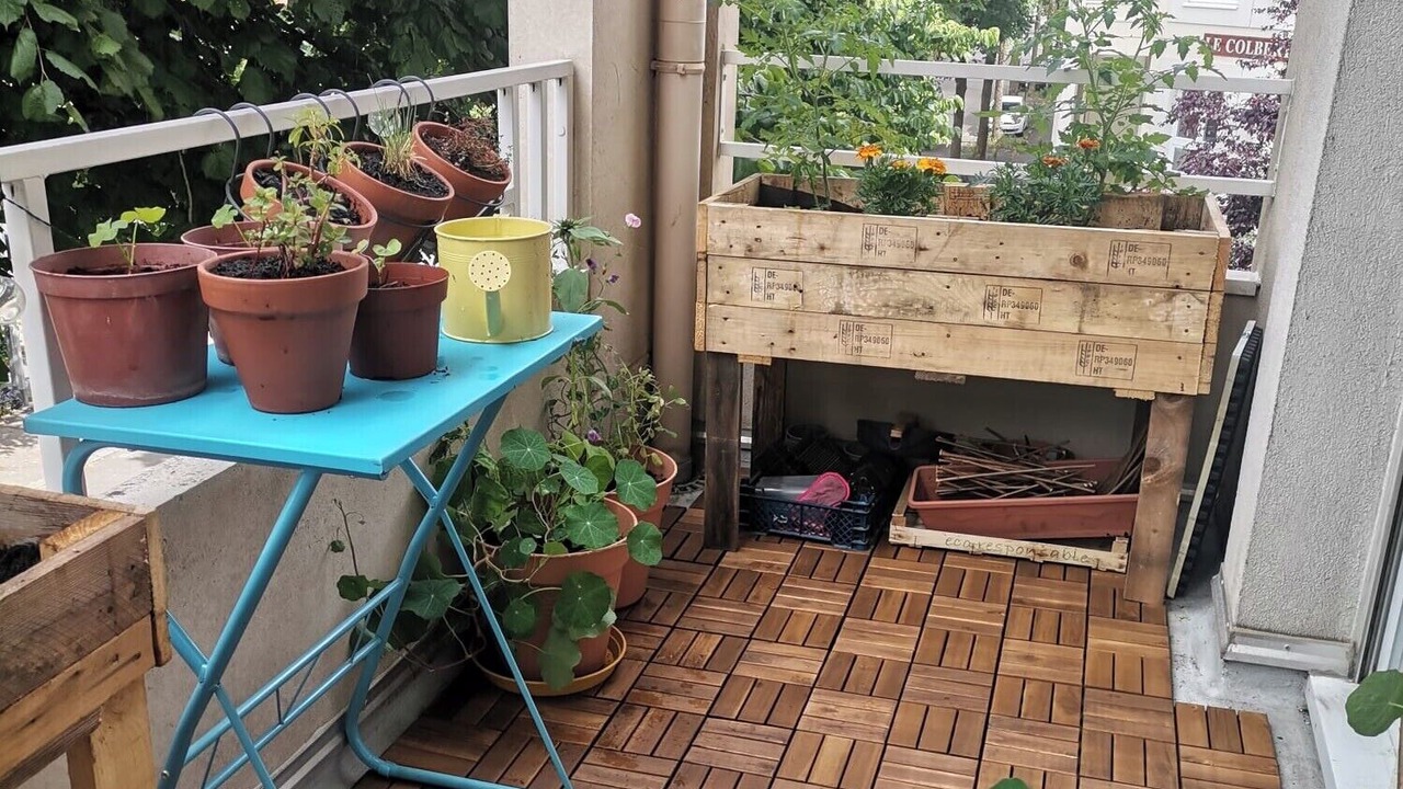 Photo of Outdoor in Dalby
