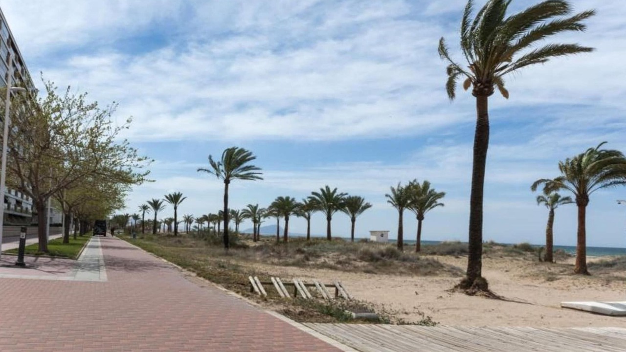 Photo of Others in Grau i Platja
