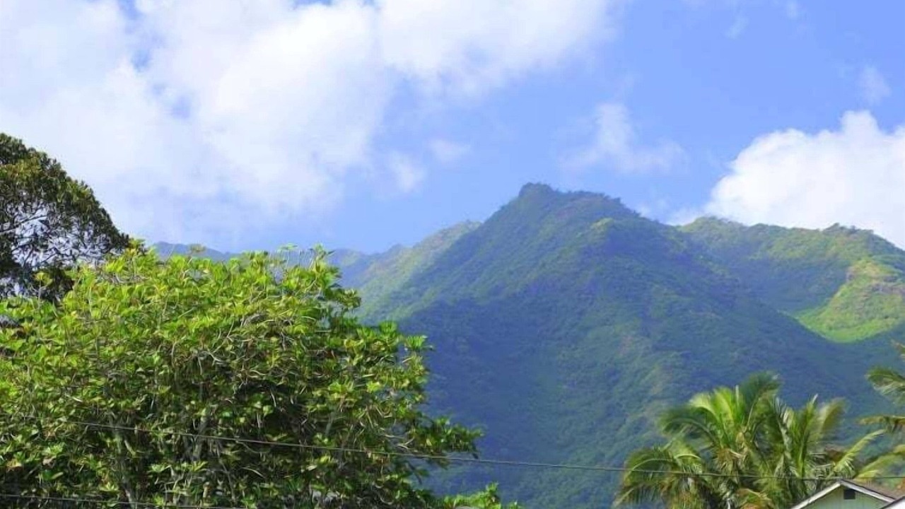 Photo of Others in Punaluu