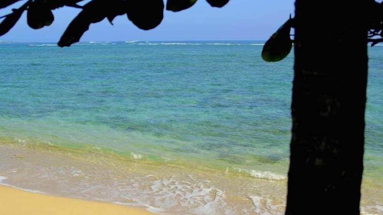 Photo of Others in Punaluu