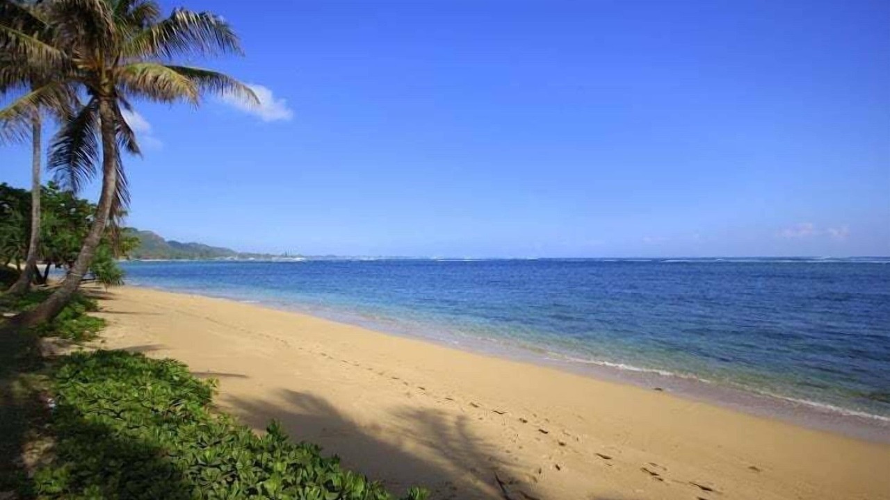 Photo of Others in Punaluu