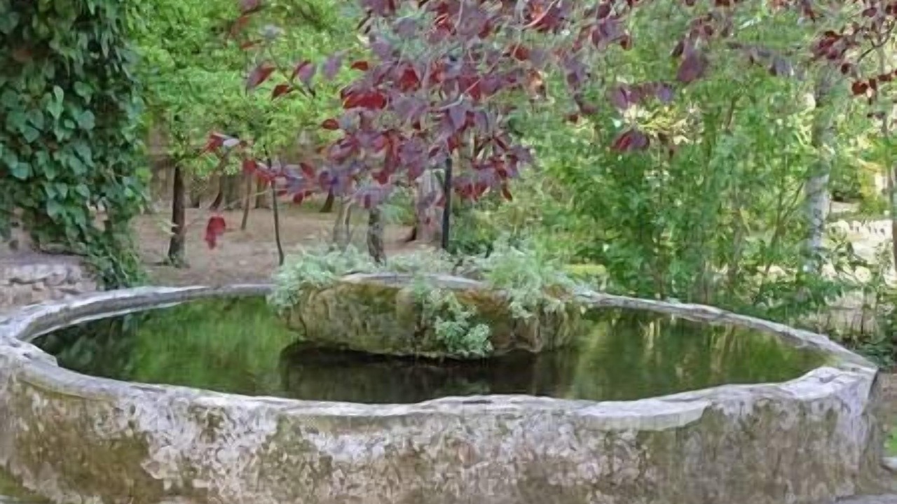 Photo of Outdoor in Santes Creus