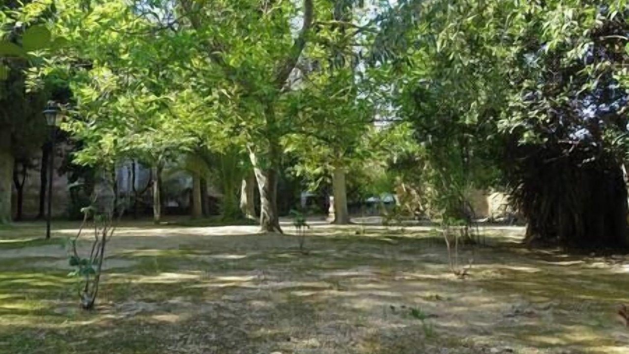 Photo of Outdoor in Santes Creus