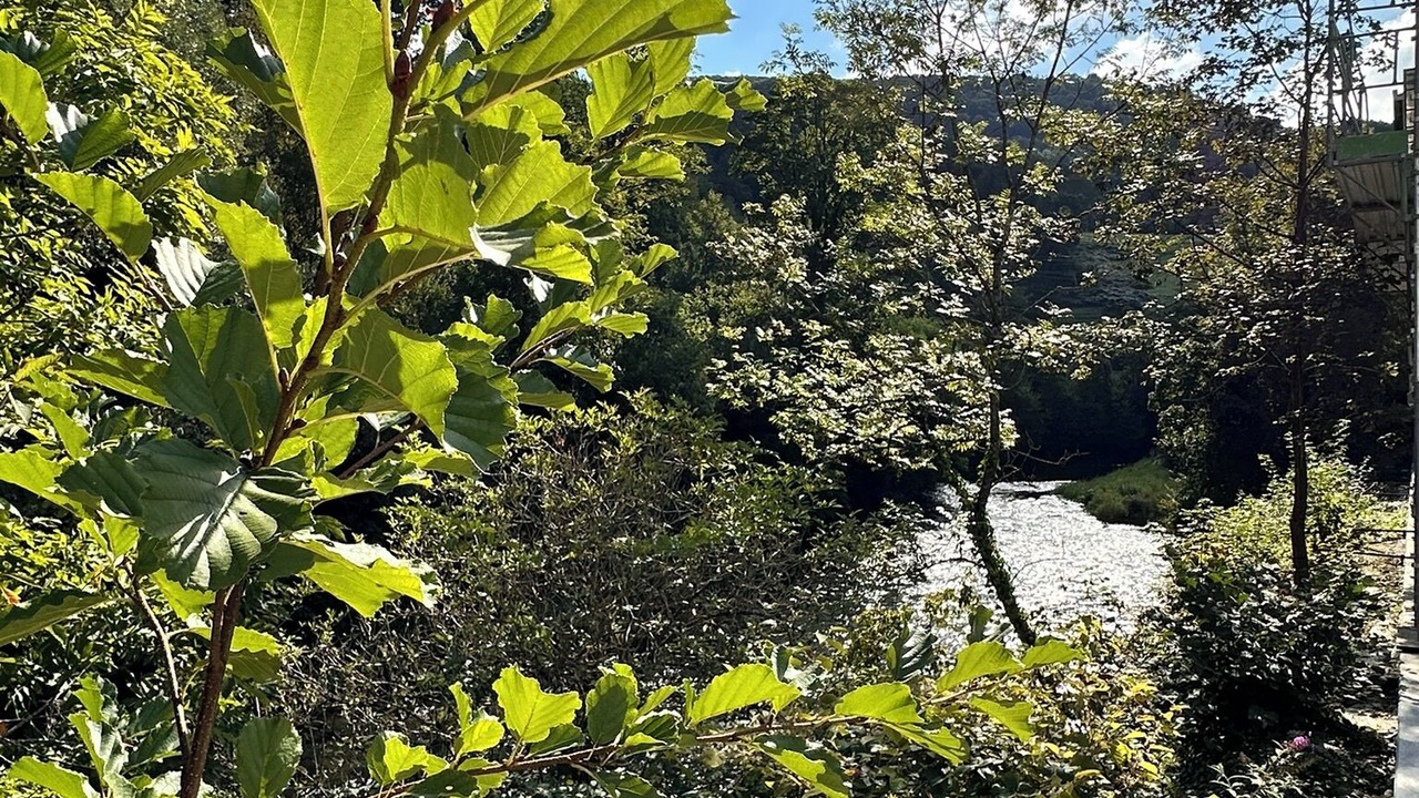 Photo of Outdoor in Duggingen