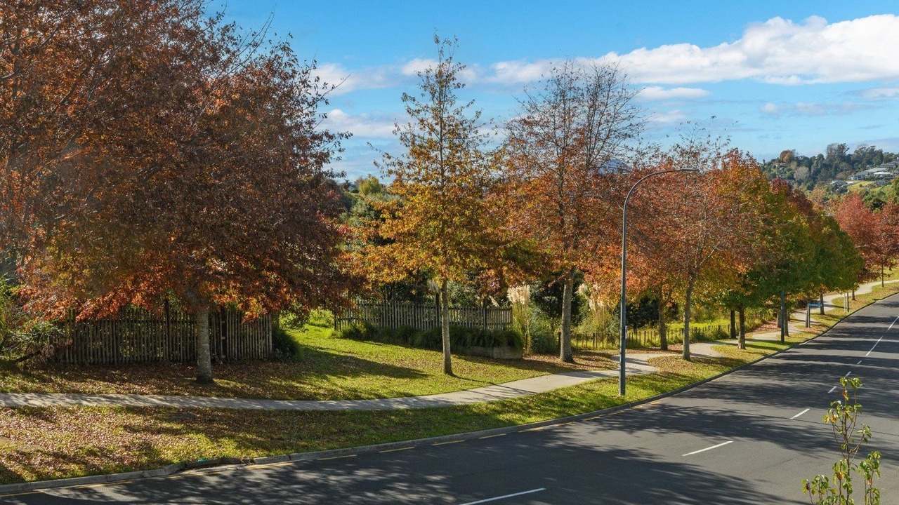 Photo of Others in Bethlehem