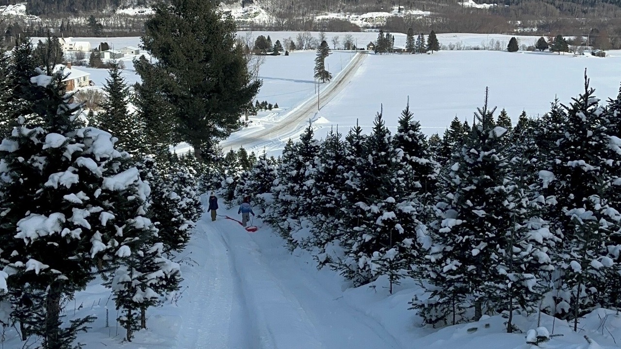 Photo of Others in Canaan