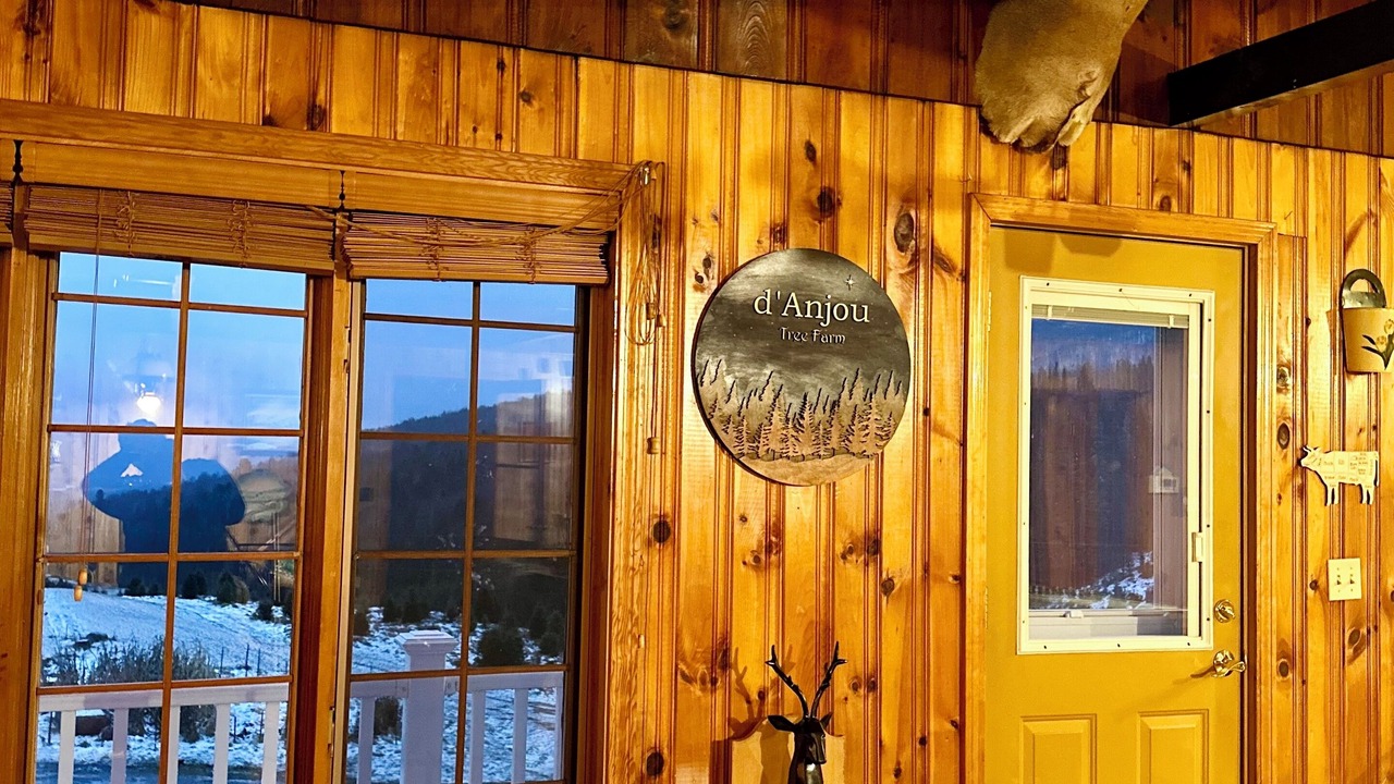 Photo of Others in Canaan