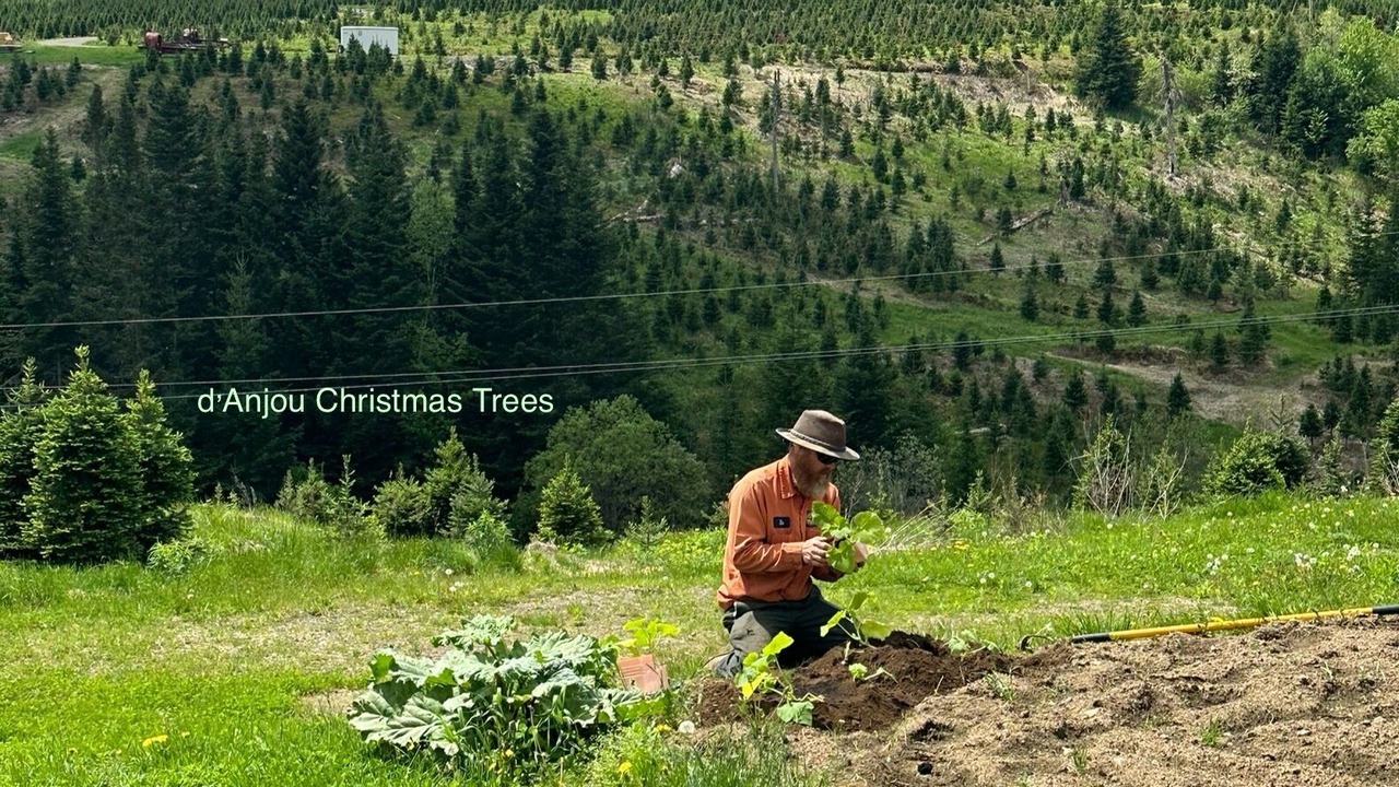 Photo of Others in Canaan