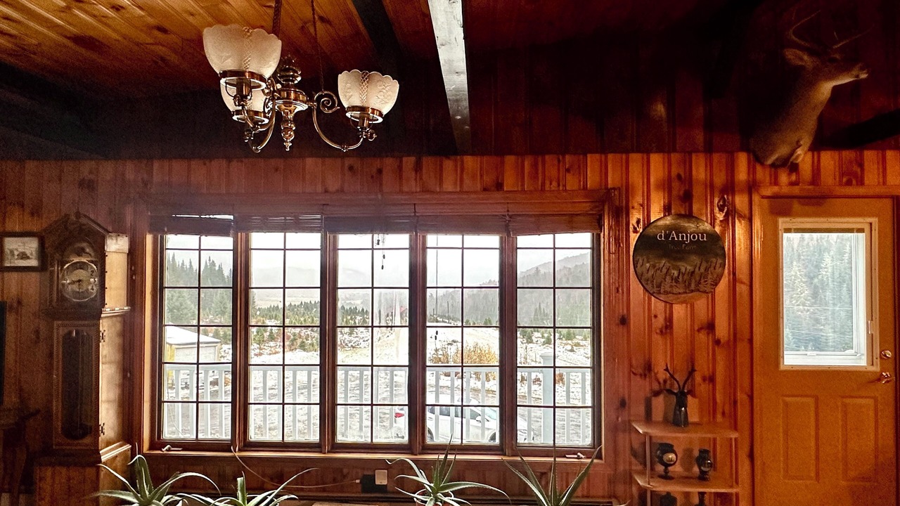 Photo of Others in Canaan