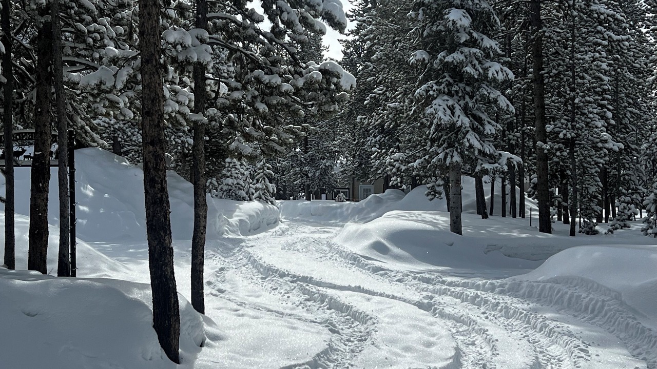 Photo of Outdoor in Glendevey