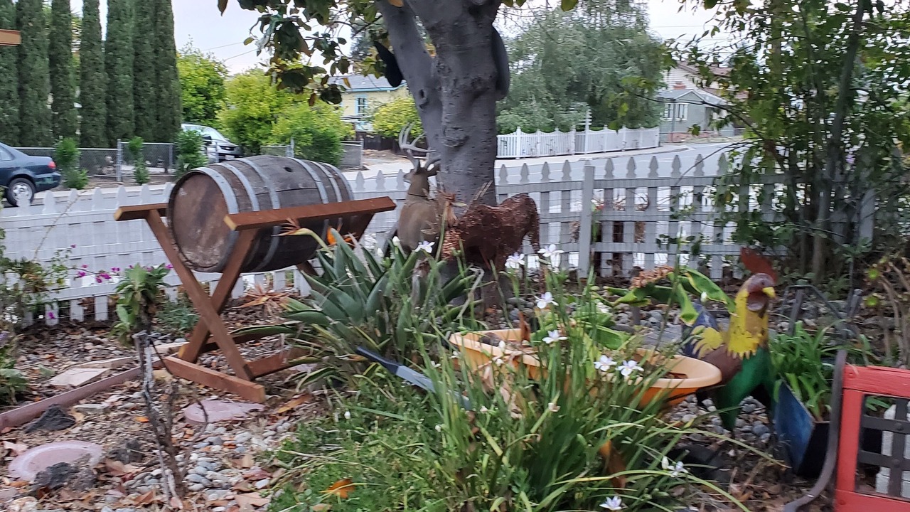 Photo of Outdoor in San Leandro