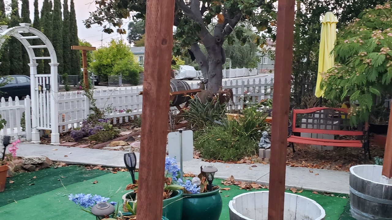 Photo of Outdoor in San Leandro