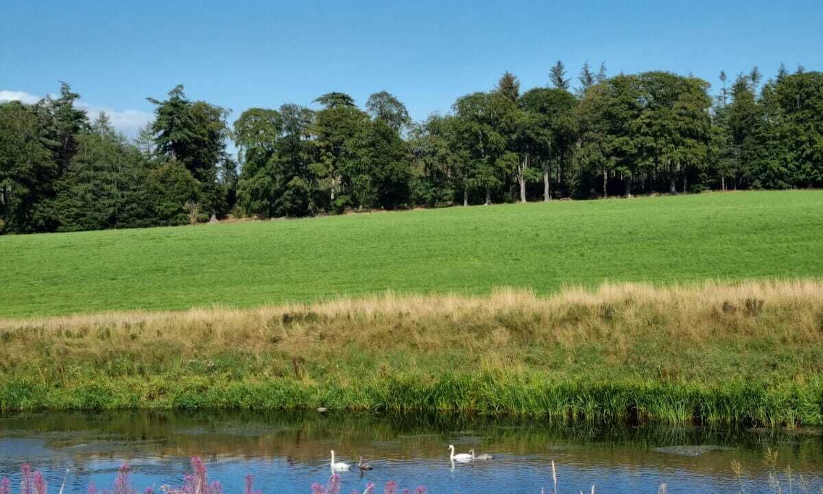 Photo of Others in Dyce