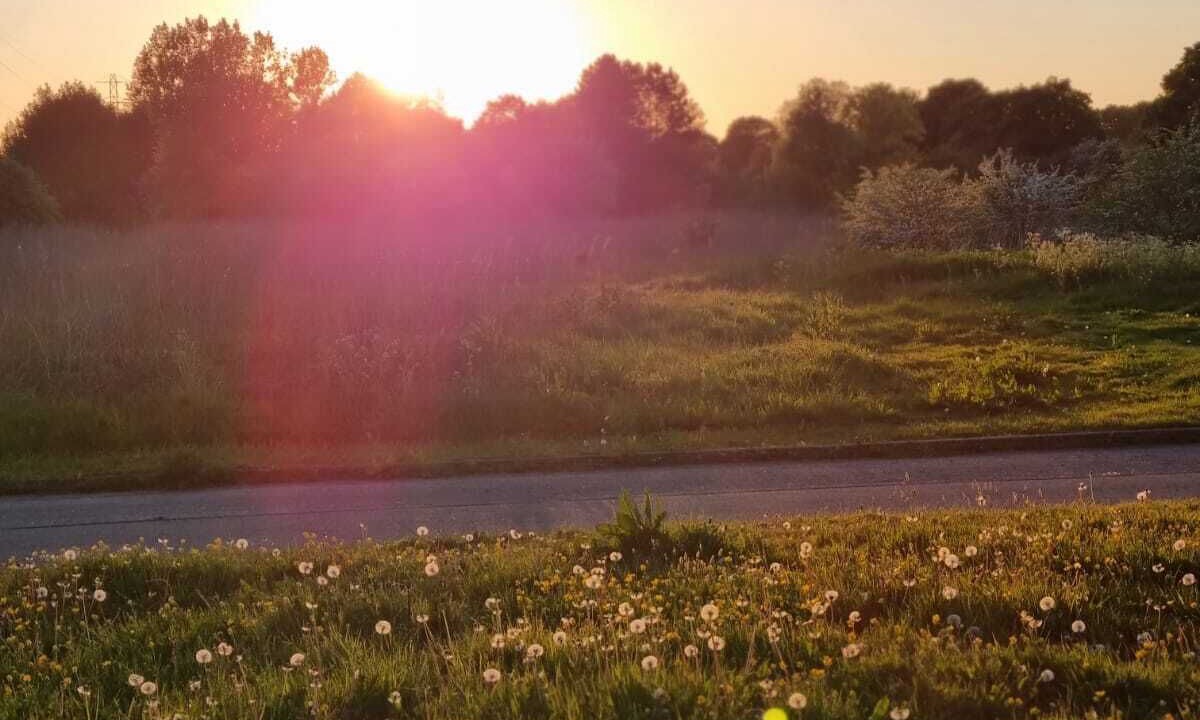 Photo of Others in Dyce