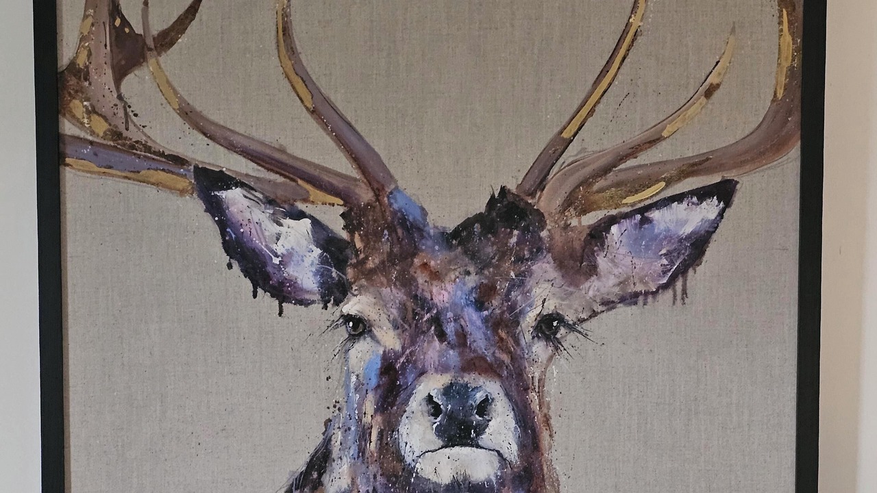 Photo of Others in Dyce