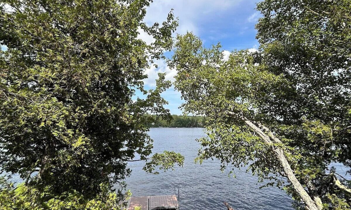 Photo of Others in Otis