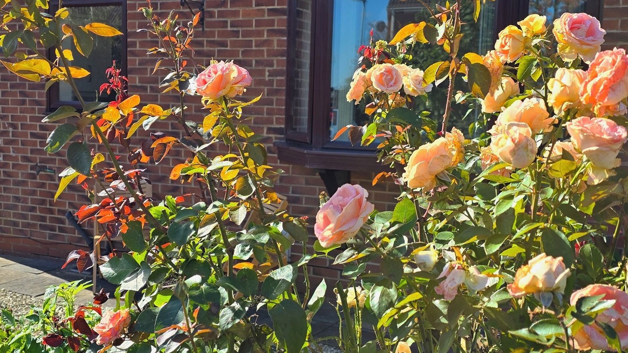 Photo of Outdoor in Broughton