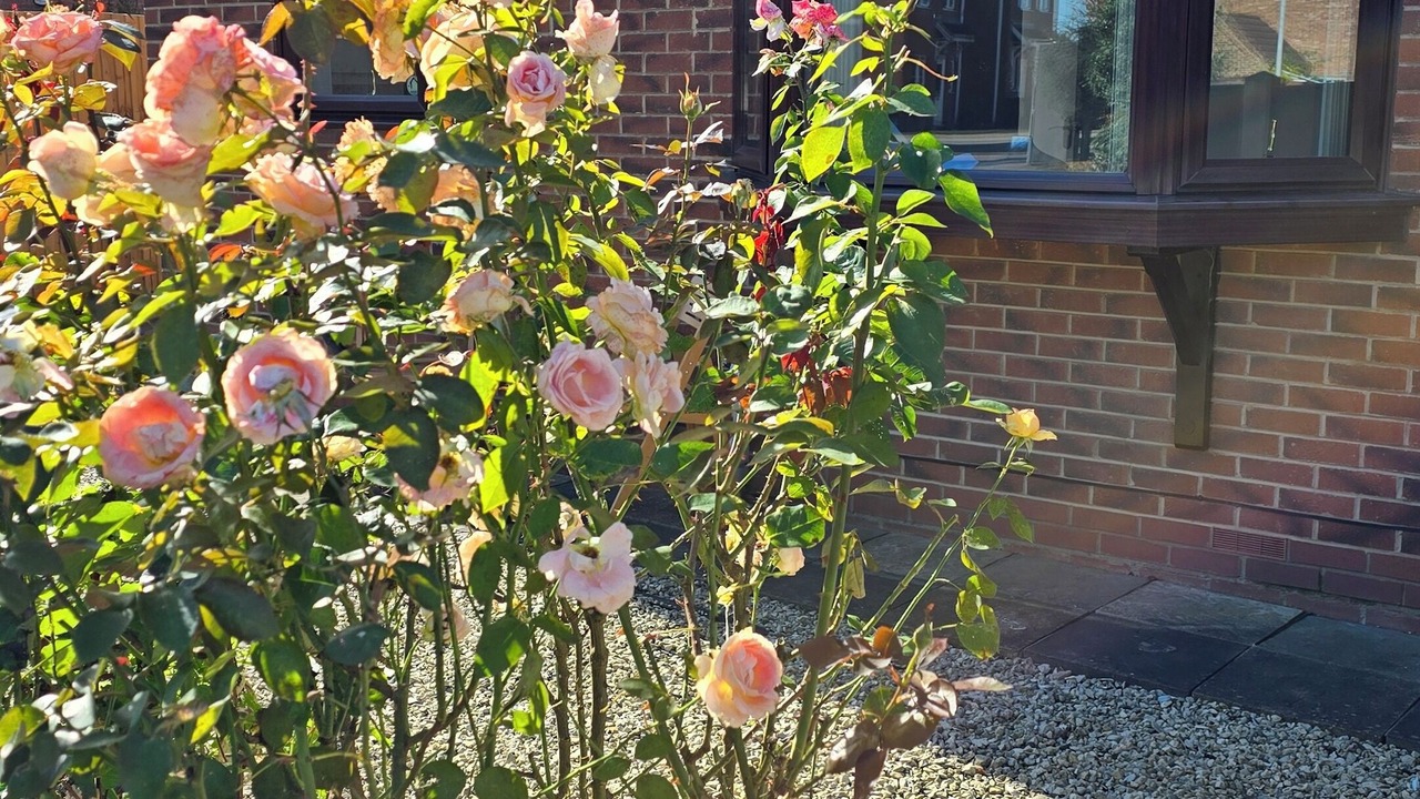 Photo of Outdoor in Broughton