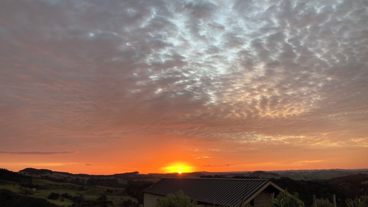 Photo of Others in Mangawhai