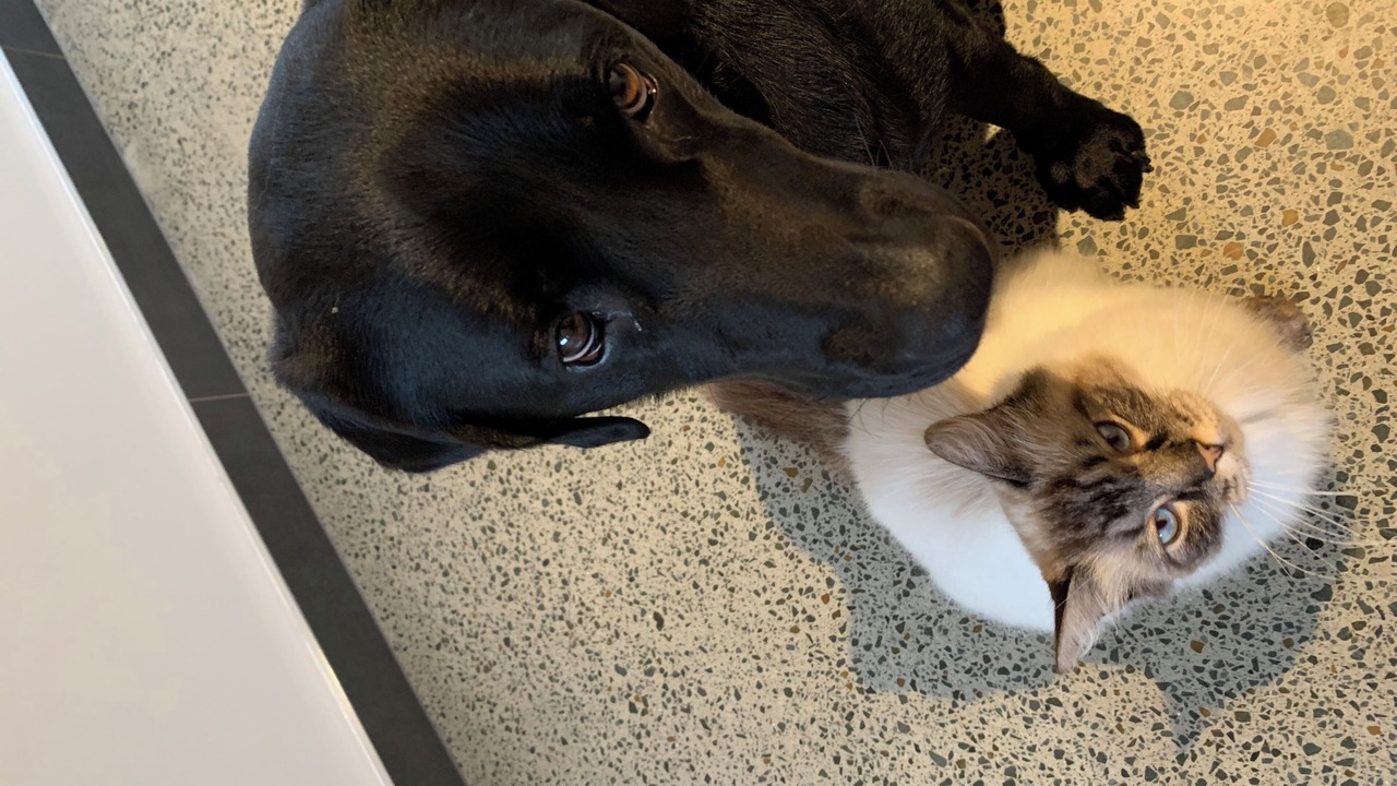 Photo of Others in Mangawhai