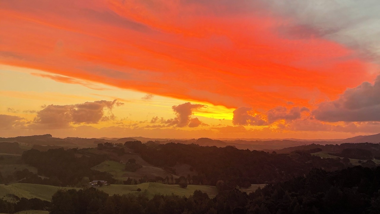 Photo of Others in Mangawhai