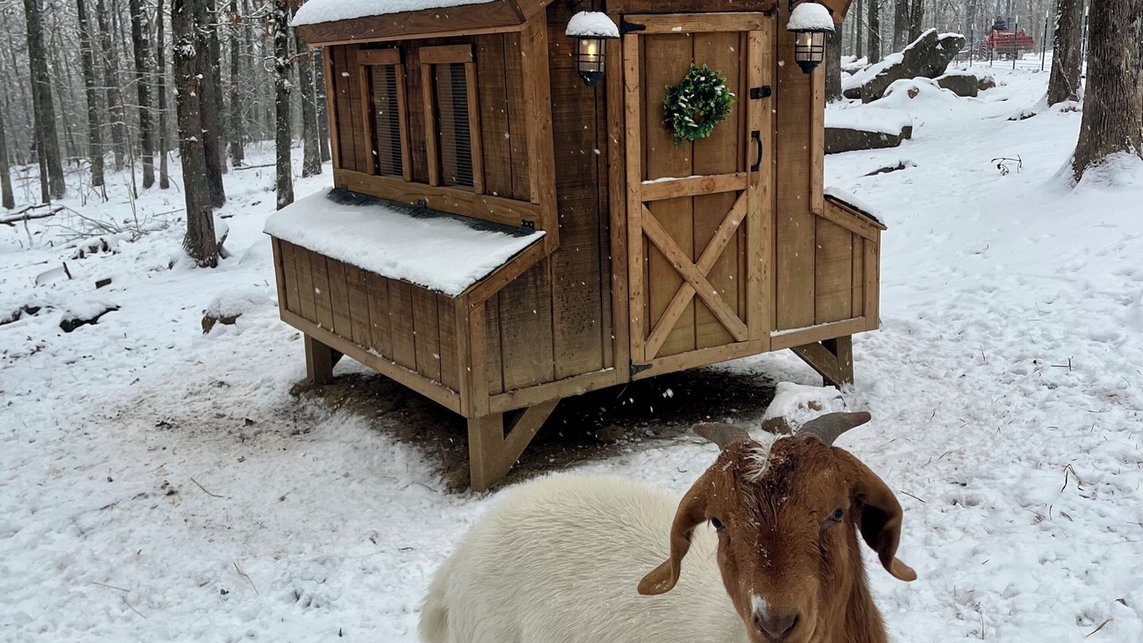 Photo of Outdoor in Bates