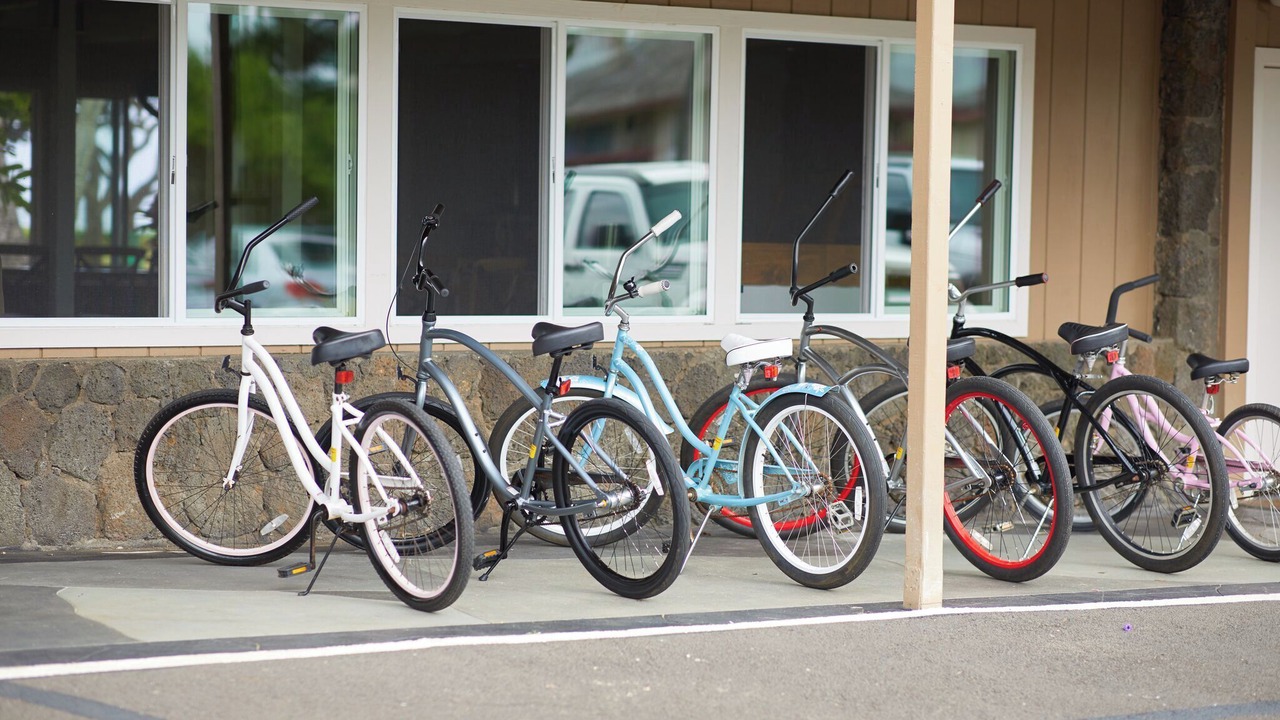 Photo of Outdoor in Naalehu