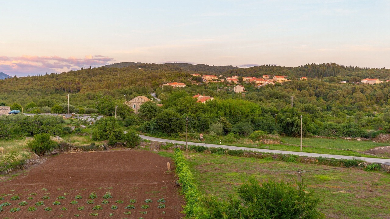 Photo of Outdoor in Popovici