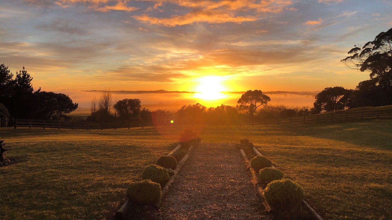 Photo of Others in Te Kopuru