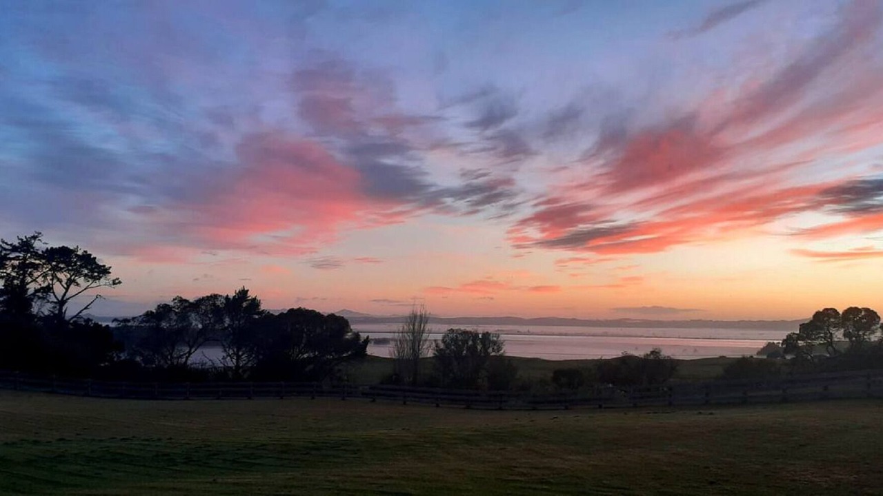 Photo of Others in Te Kopuru