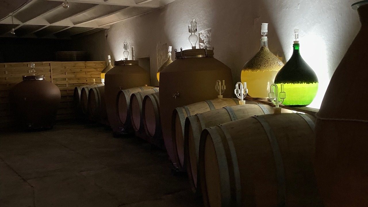 Photo of Others in Denee