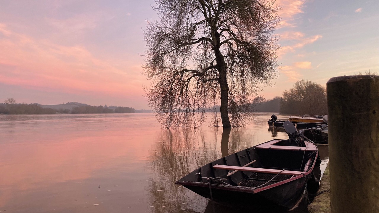 Photo of Others in Denee