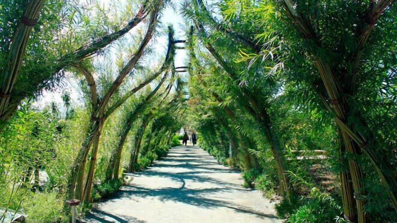 Photo of Others in Denee