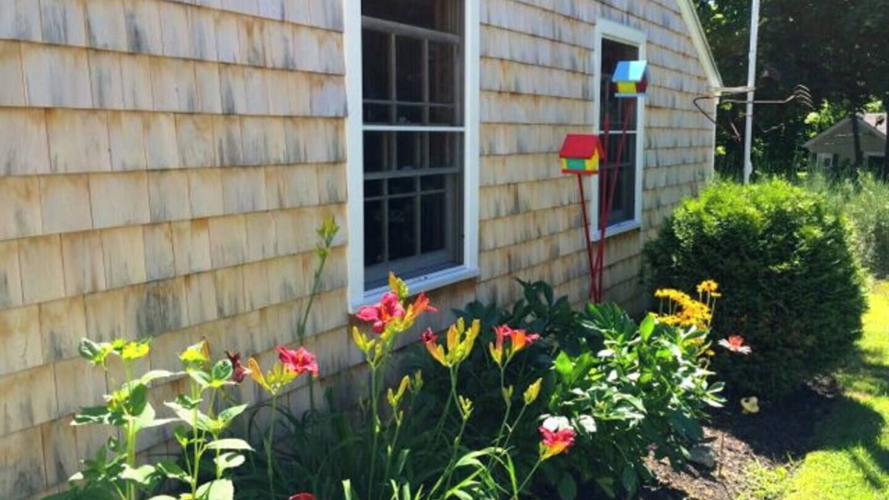 Photo of Outdoor in Cape Neddick