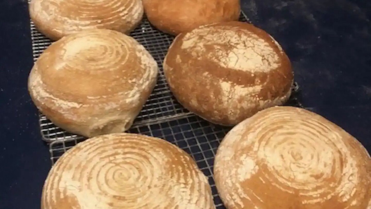 Photo of Others in Cape Neddick