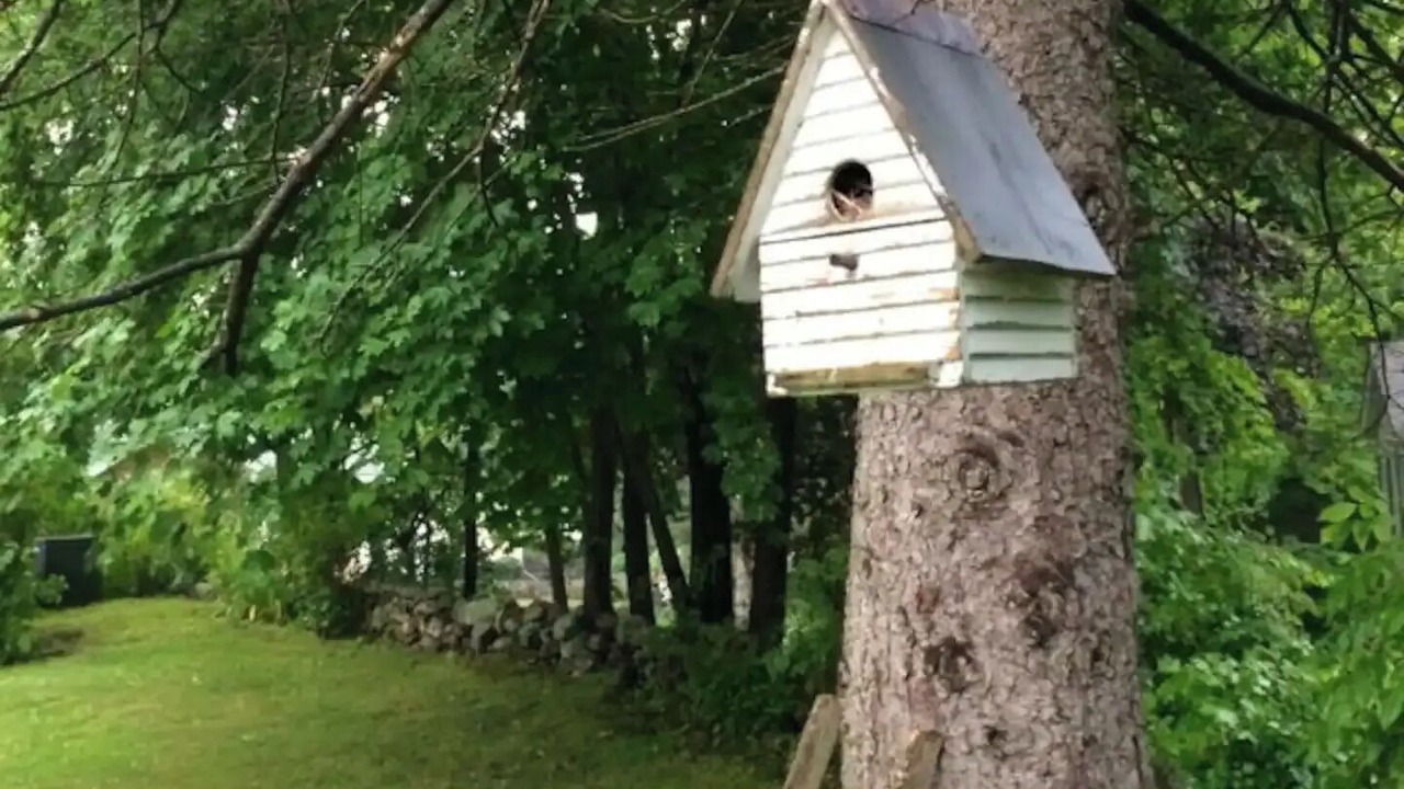 Photo of Others in Cape Neddick