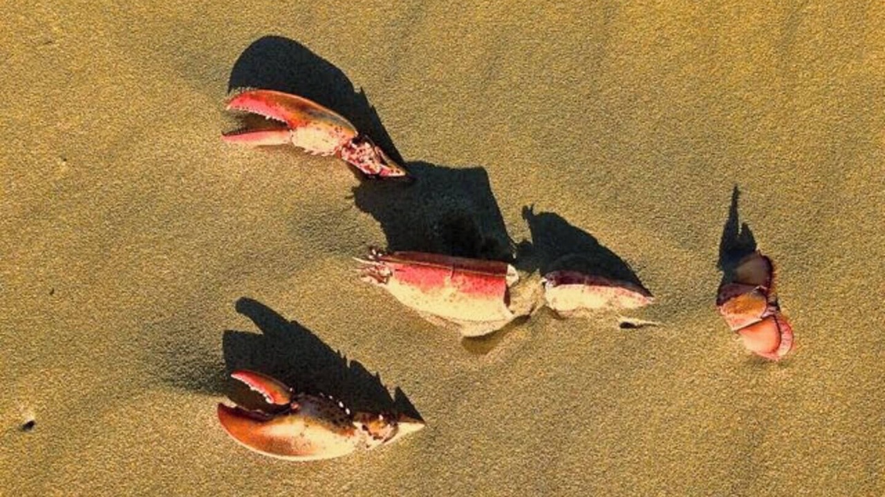 Photo of Others in Cape Neddick