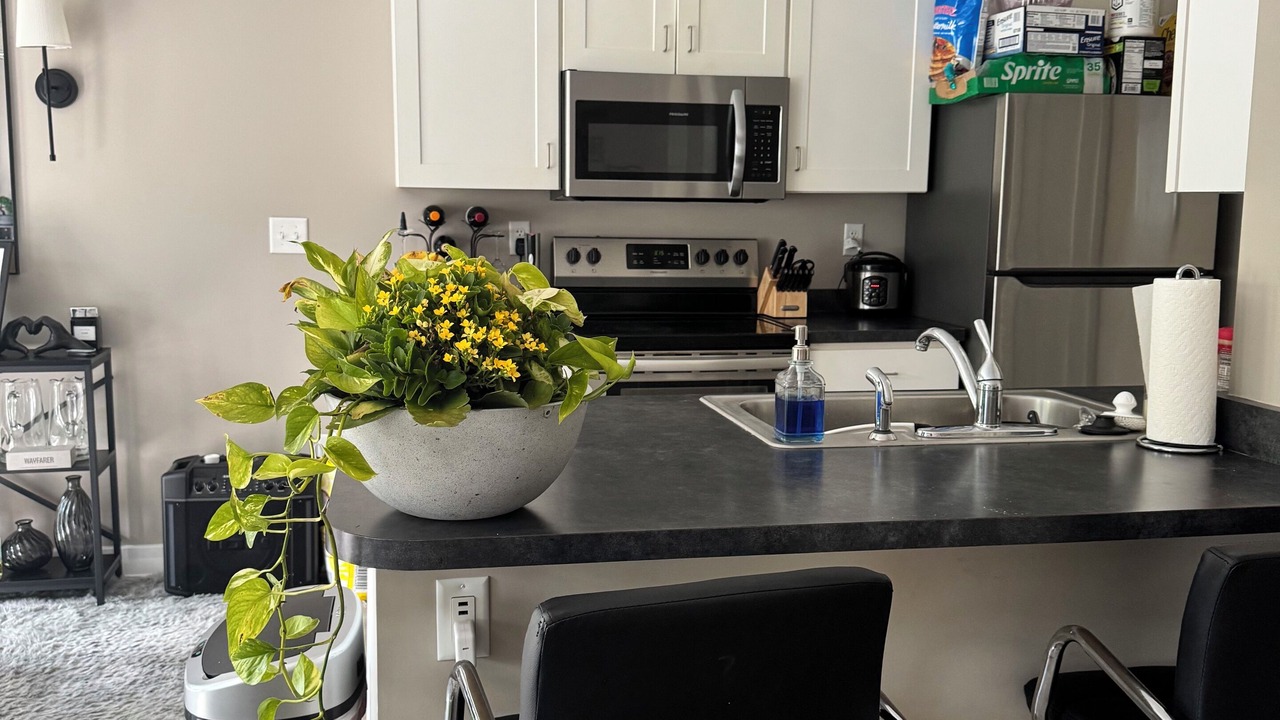 Photo of Kitchen in Rochester