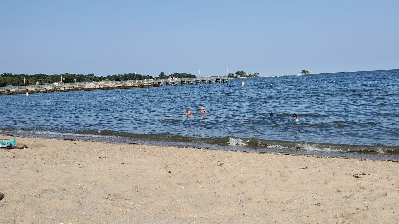 Photo of Others in Cove - East Side - Shippan