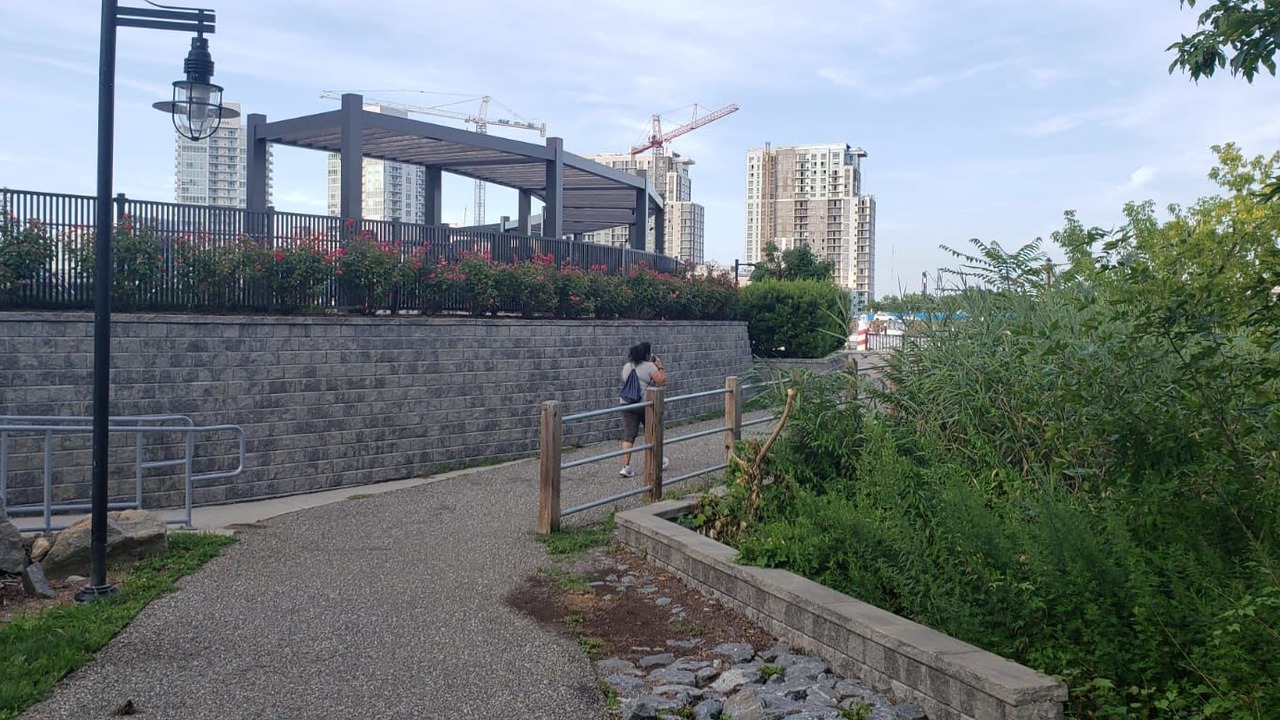 Photo of Others in Cove - East Side - Shippan