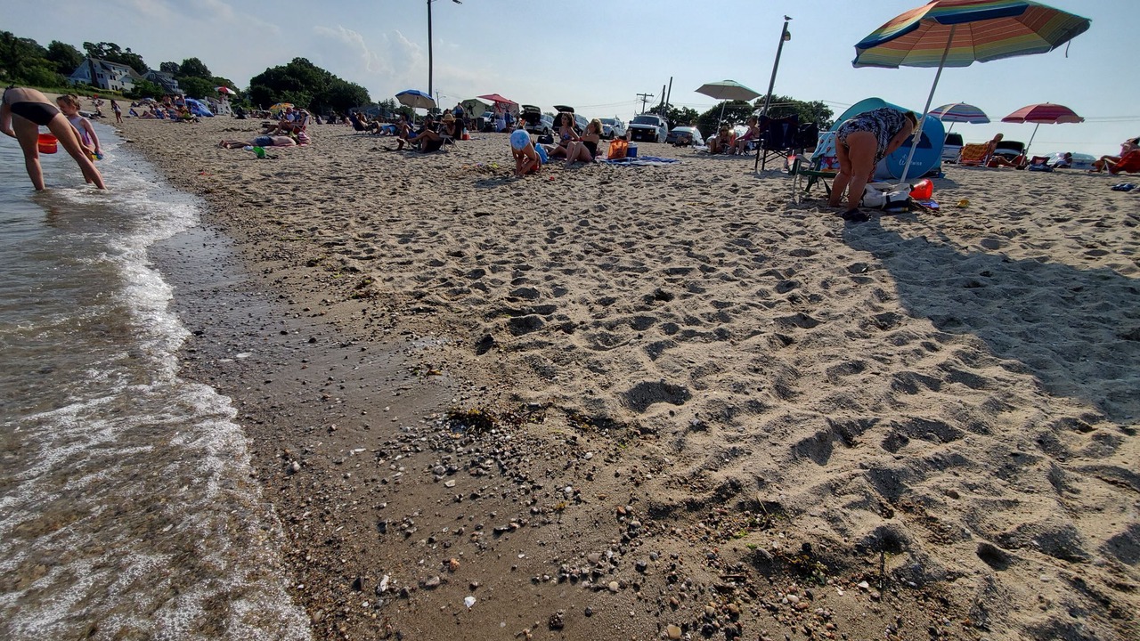 Photo of Others in Cove - East Side - Shippan