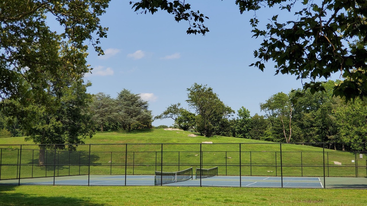 Photo of Others in Cove - East Side - Shippan