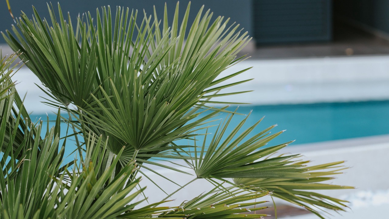 Photo of Outdoor in Opatija